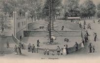 Bern Barengraben Switzerland Bears Antique Postcard