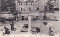 Bern Der Barengraben La Fosse Aux Ours Swiss Bears Postcard