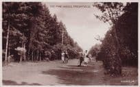 Bicycle & Lovers at The Pine Woods Freshfield Liverpool WW2 RPC Old Postcard