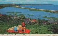 Big Red Butterfly Hairpiece Lady Slapton From Torcross Devon Postcard