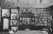 Billiard Room Stuffed Birds Taxidermy Raithwaite Hall Yorkshire Old Postcard
