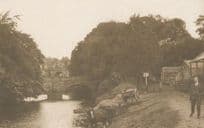 Bilton Fields High Bridge Horse Drinking By River Knaresborough Large Postcard