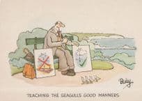 Bird Dropping Poos On Head Seagulls Comic Postcard