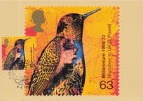 Bird Flying Migrating To UK Painting Millennium FDC Postcard