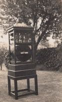 Bird Garden Feeding Birds House Antique Social History Real Photo Postcard