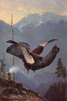 Bird Shot Dying In Air Antique Hunting Blood Sports Postcard