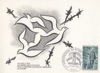 Birds 1965 Associations De Deportes L'Union National FDC Paris French Postcard