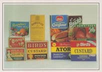 Birds Custard Bisto Rowntrees Jelly Carton Collection Postcard