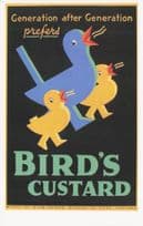 Birds Custard Ducks Desert Poster Advertising Postcard