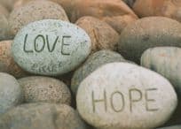 Birds Egg Eggs Love & Hope Stones Postcard