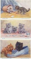Black Blue Persian Cat Kitten Ballet Shoe Slipper 3 Salmon Old Postcard s