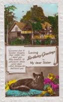 Black Cat On Green Antique Rug Bed Bedsheet Happy Birthday Sister RPC Postcard