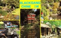 Blackgang Chine Isle Of Wight Romany Gipsy Cart Postcard
