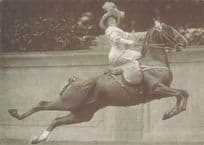 Blanche Allarty 1911 French Circus Horse Show Equestrian Postcard