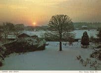 Blean Sunset & Snow Kent Local Rare Amazing Weather Postcard