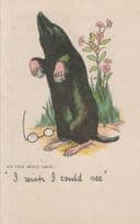 Blind Mole I Wish I Could See Old Spectacles Animal Postcard