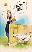 Bloody Hell Duck Goose Attack Comic Humour 160 Bamforth Postcard