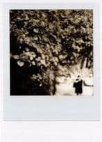 Blurred Hedge Forest Menace Photo Art Analog Film Postcard