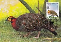 Blyths Trapogan WWF Bhutan Pleasant Bird Stamp Rare FDC Postcard
