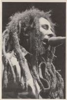 Bob Marley Rare Postcard