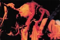 Bob Marley Reggae Live Photo Postcard