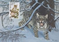 Bobcat Canadian Rare 1987 Cat First Day Cover Postcard
