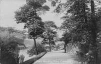 Bold Venture Park Darwen Lancashire 1907 Real Photo Postcard
