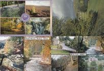 Bolton Abbey The Strid Wood Woods at Autumn 4x Postcard s