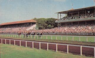 Bombay Indian Horse Race Course Grandstand Rare 1970s Postcard