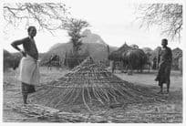 Borana Woman Building A Home Kenya Africa Vintage Press Photo