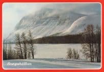 Borgahallan Norway Postcard
