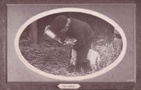Bottle Feeding An Orphan Animal Real Photo Old Postcard