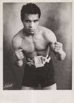 Bouadjemi Mokhfi Algerian Boxer Old WW2 Publicity Photo