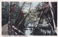 Bowring Park Newfoundland St Johns Canada Postcard