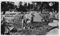 Boy Scouts Cookery At Gilwell Park London Vintage RPC Postcard