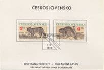 Bratislava Cat Prowling Slovakia Rare PB Postcard First Day Cover