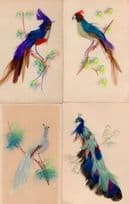 Brazil Real Feather Birds Peacocks Parrott 4x Real Feather PB Postcard s