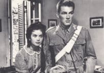 Bread Love & Jealousy Vittorio De Sica Italian Military Movie Postcard