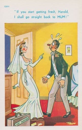 Bridegroom Bride Sexy Newlyweds Bedroom Naughty Wedding Night Mum Comic Postcard
