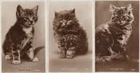 Bright Eyes The Family Pet Keep Me For Luck 3x Cat Valentines RPC Postcard s