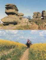 Brimham Rocks Horse & Riders Knaresborough 2x Postcard s