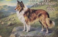 Britains Best Biscuit For Foxhounds Hunting Dogs Old Advertising Postcard