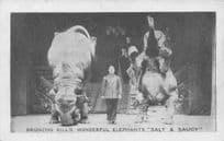 Broncho Bills Performing Elephants Circus Birmingham Old Postcard