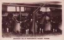 Broncho Bills Performing Midget Ponies Rare Real Photo Circus Postcard