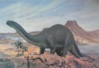 Brontosaurus Dinosaur Rare Prehistoric Painting Postcard