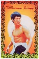 Bruce Lee Martial Arts Film Movie Oil Painting Portrait Postcard