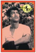Bruce Lee The Big Boss Movie Film Stunning Photo Postcard
