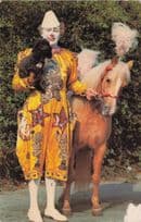 Brung & Friends Chessington Zoo Clown Horse Act 1970s Old Postcard