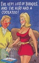 Budgie Cockatoo Bird Cage as Pets Sexy Lady Owner Comic Postcard