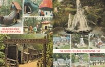 Buffalo Creek Blackgang Chine Nurseryland IOW 4x 1970s Postcard s